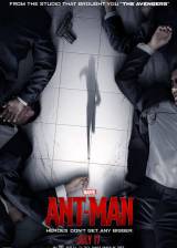 Miniature d'affiche américaine de 'Ant-Man'