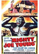 Miniature d'affiche inconnue de 'Monsieur Joe'