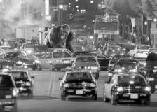 ©1998 Walt Disney - Mon ami Joe (Mighty Joe Young)