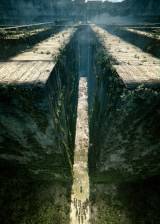 Miniature d'affiche américaine de 'Le labyrinthe'