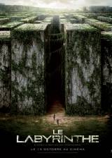Miniature d'affiche française de 'Le labyrinthe'