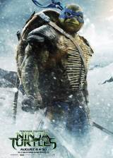 Us poster thumbnail from 'Teenage Mutant Ninja Turtles'