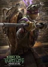 Us poster thumbnail from 'Teenage Mutant Ninja Turtles'