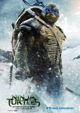 French poster thumbnail from 'Teenage Mutant Ninja Turtles'