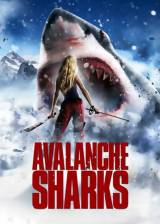Miniature d'affiche inconnue de 'Avalanche Sharks'