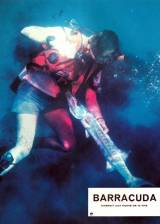 ©1978 American General Pictures - Barracuda (Barracuda)