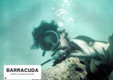 ©1978 American General Pictures - Barracuda (Barracuda)
