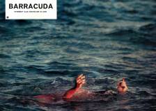 ©1978 American General Pictures - Barracuda (Barracuda)