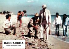 ©1978 American General Pictures - Barracuda (Barracuda)