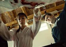 ©BBC - Orphan Black (Orphan Black)