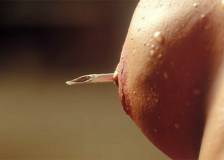 ©1996 Filmwerks - Nemesis 4: Death Angel (Nemesis 4: Death Angel)