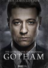 Miniature d'affiche américaine de 'Gotham'