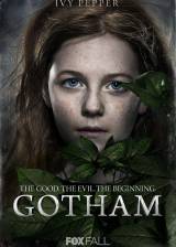 Miniature d'affiche américaine de 'Gotham'