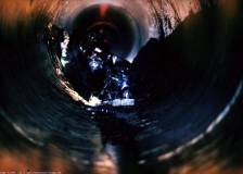 ©2014 Backyard Films - Crawl or Die (Crawl or Die)