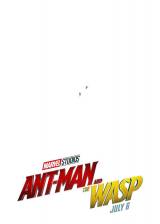 Miniature d'affiche américaine de 'Ant-Man et la Guêpe'