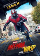 Miniature d'affiche américaine de 'Ant-Man et la Guêpe'