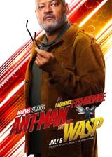 Miniature d'affiche américaine de 'Ant-Man et la Guêpe'