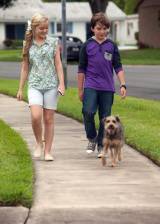 ©2015 Consolidated Media Holdings - Robo-Dog (Robo-Dog)