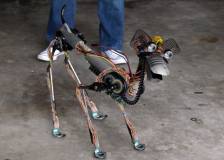 ©2015 Consolidated Media Holdings - Robo-Dog (Robo-Dog)