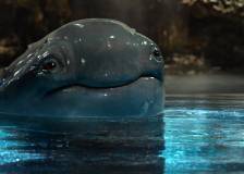 ©2017 Paramount Pictures - Monster Trucks (Monster Trucks)