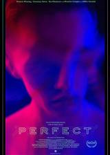 Miniature d'affiche américaine de 'Perfect'