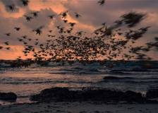 ©2018 Ecce Films - Jessica Forever (Jessica Forever)