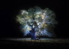 ©2018 Ecce Films - Jessica Forever (Jessica Forever)