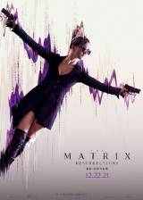 Us poster thumbnail from 'The Matrix Resurrections'