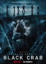 Miniature d'affiche américaine de 'Black Crab'